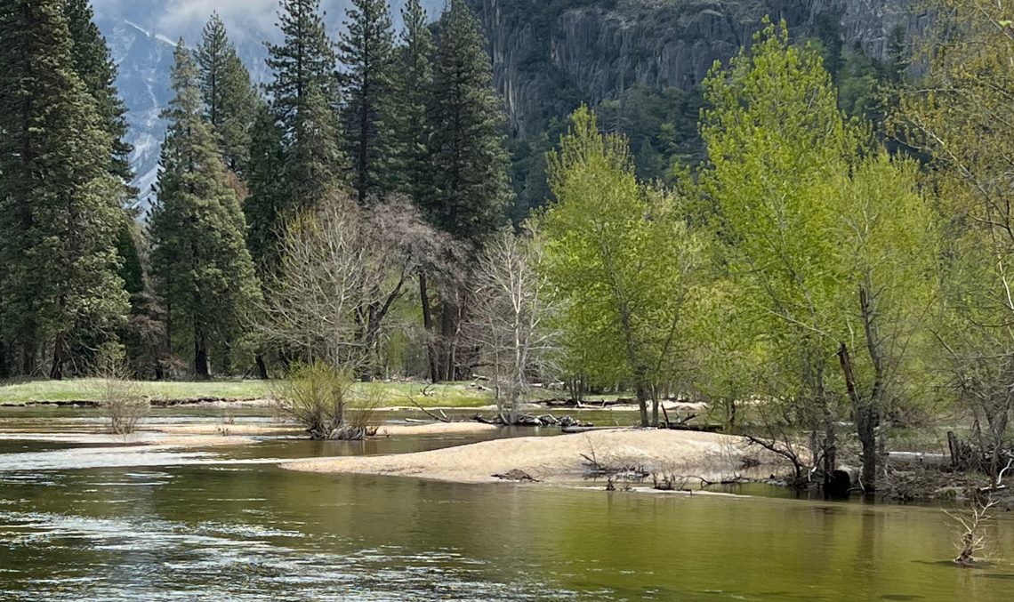 Merced River © Michaela von Schweinitz